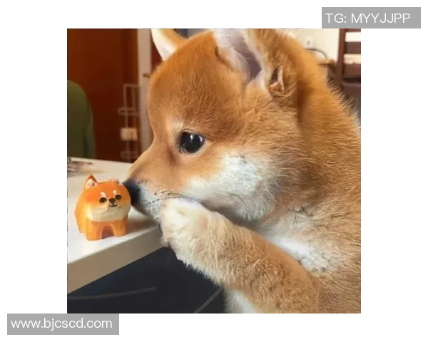 足球明星与爱犬甜蜜瞬间情侣头像分享让你感受温馨与激情的完美结合