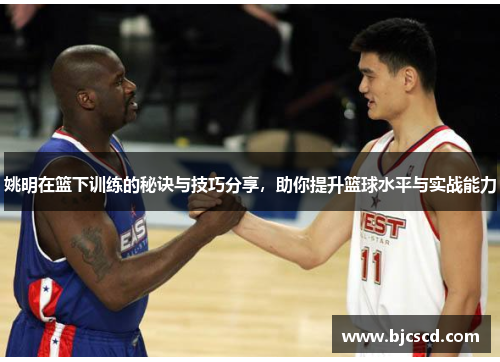 姚明在篮下训练的秘诀与技巧分享，助你提升篮球水平与实战能力