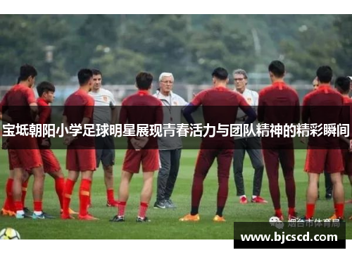 宝坻朝阳小学足球明星展现青春活力与团队精神的精彩瞬间